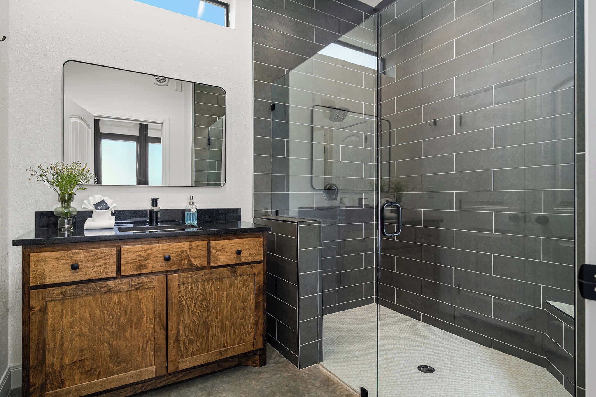 Chuveiro, secador de cabelo, toalhas de banho, shampoo