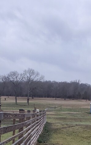 Imagen sin descripción, 5 de 7, botón