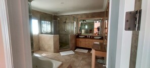 Shower, jetted bath, hair dryer, towels