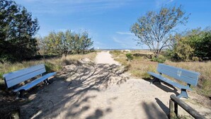 Ein sandiger Weg führt zu einem Strand, begleitet von zwei Bänken auf jeder Seite.
