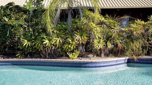 Une piscine à l’eau d’un bleu cristallin, entourée d’une végétation tropicale luxuriante et bordée de carreaux.