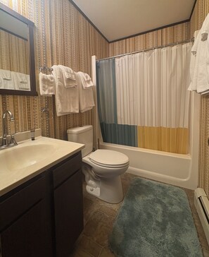 Une salle de bain avec des toilettes, un lavabo et une baignoire.