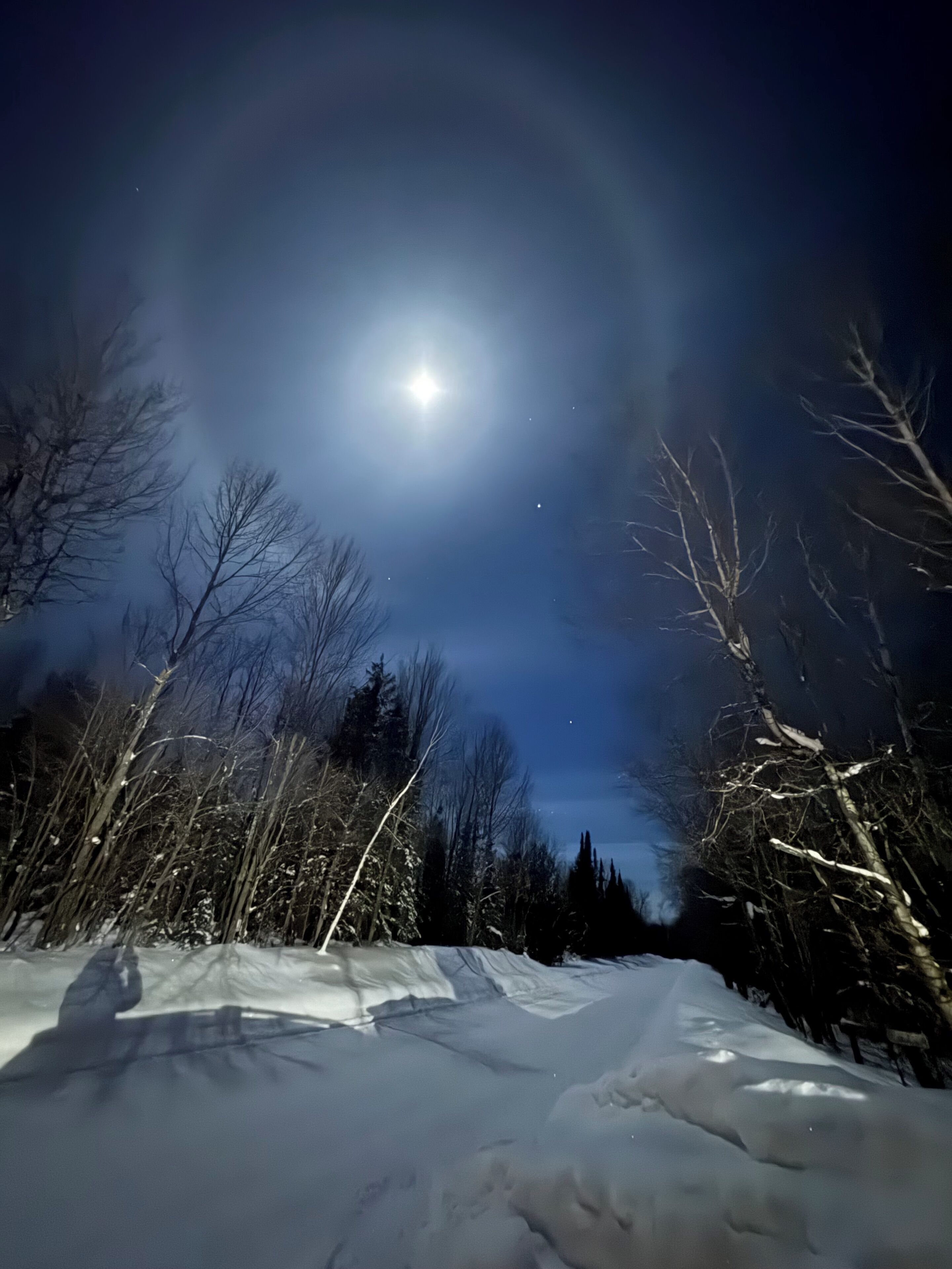 Un paysage enneigé, avec des arbres sans feuilles et une lune brillante dans le ciel.