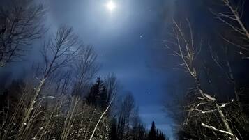 A snowy landscape with bare trees and a bright moon in the sky.