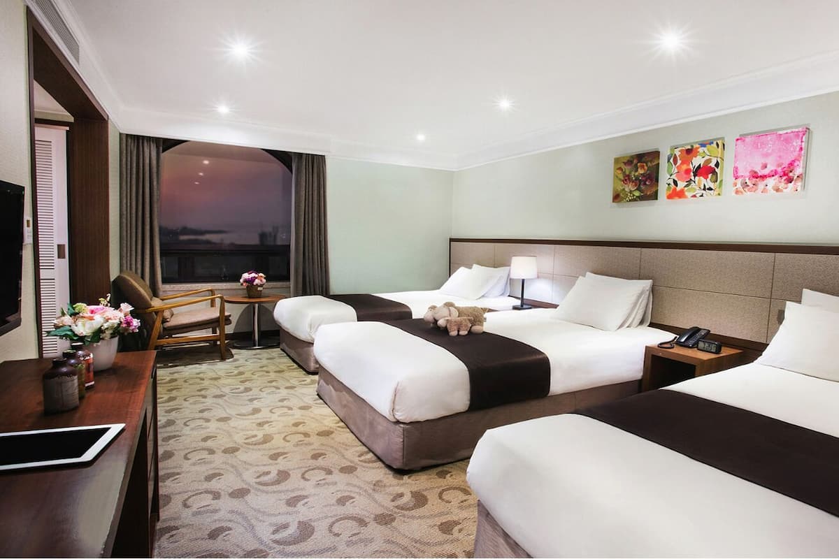 Deluxe Double or Twin Room, Non Smoking, City View