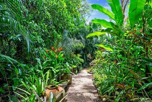 A narrow pathway surrounded by dense tropical foliage. - Belle Escapes Samaya (Palm Cove)