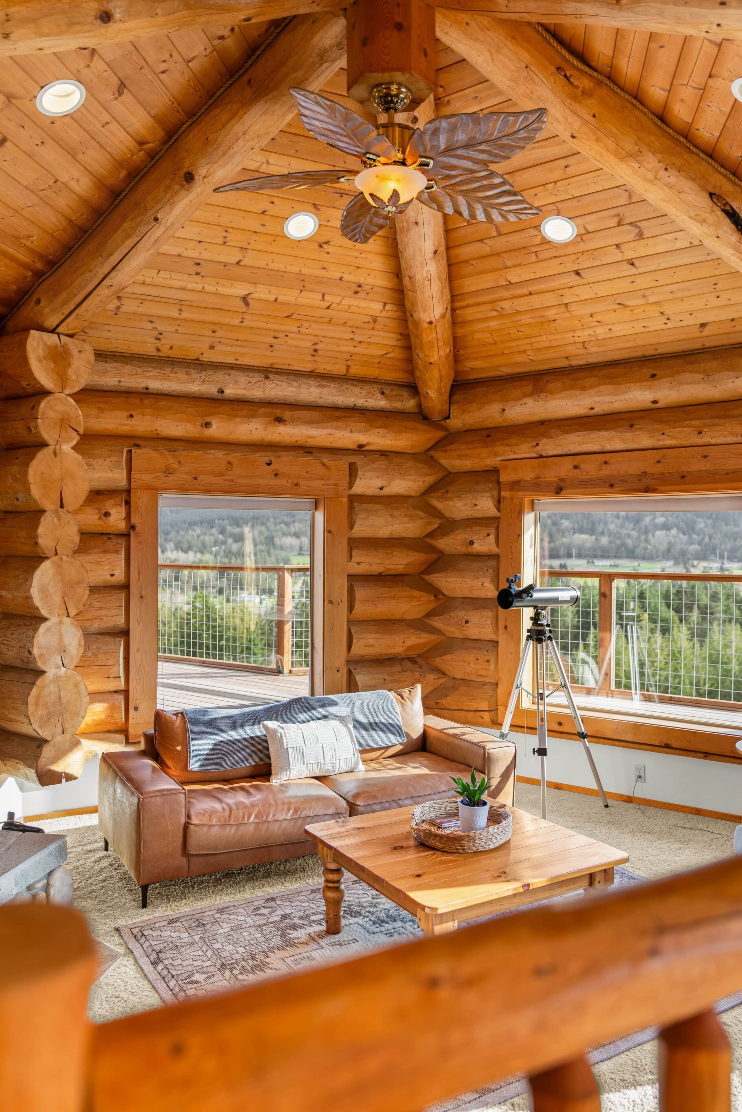 Fernseher, Kamin, Tischtennisplatte