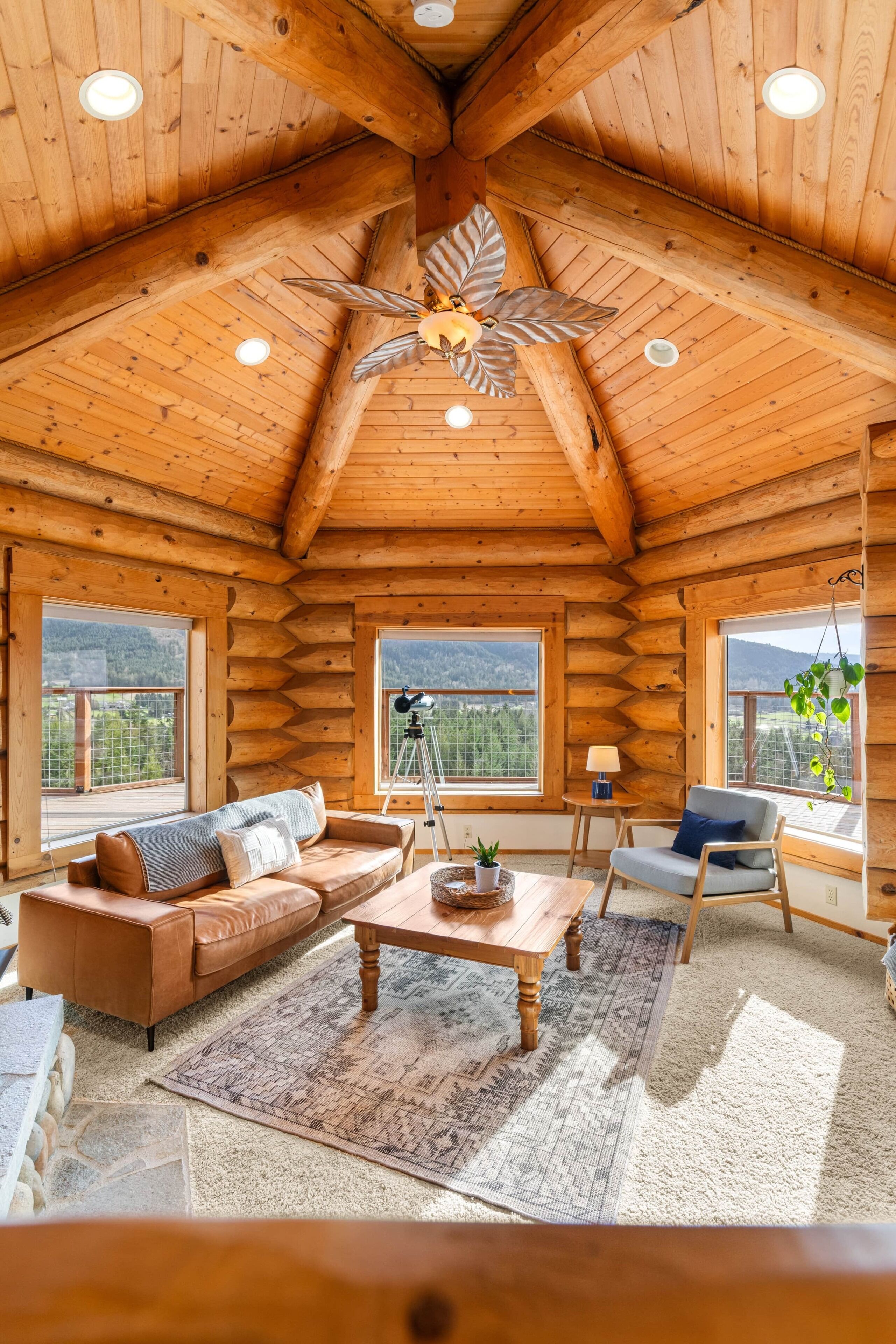 Televisor, llar de foc i taula de tennis de taula 