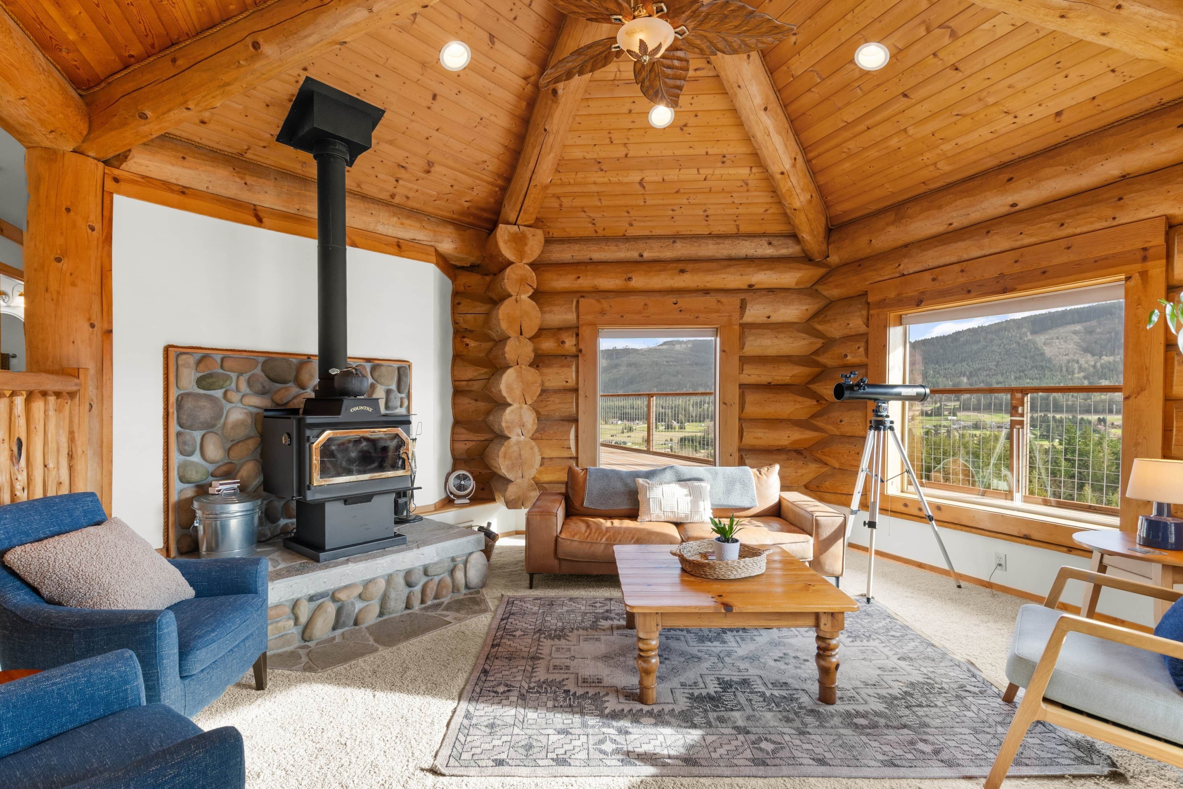 TV, fireplace, ping pong