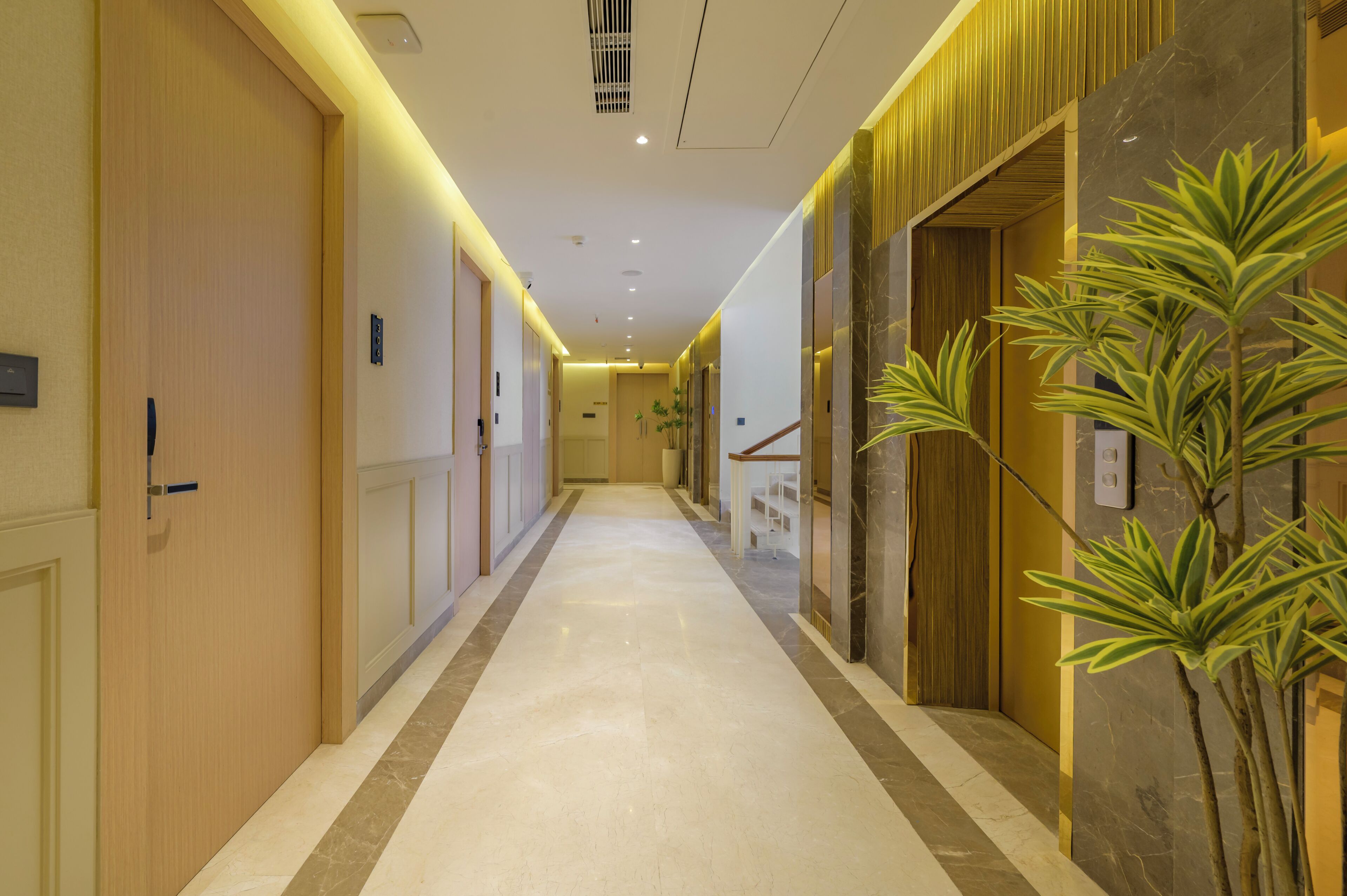 A hotel corridor with wooden doors, a marble floor, and a plant on the right.
