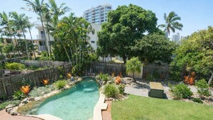 Quintal com piscina, cercado por palmeiras e um muro de madeira.