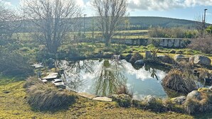Eine natürliche Landschaft mit Teich, Bäumen und einer entfernten Hügelkette.