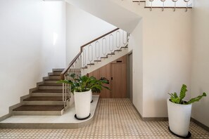 Una escalera con barandilla de madera y pared blanca. Hay dos plantas en macetas en el suelo.
