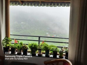 星評価なしの画像、5 / 15、ボタン