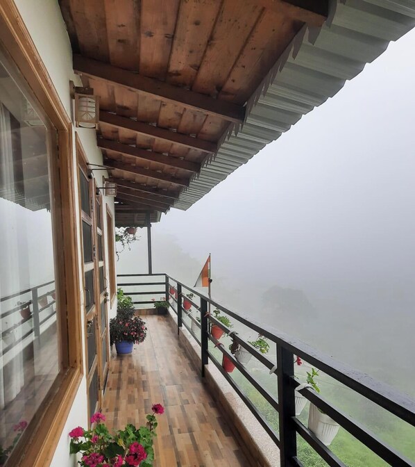 星評価なしの画像、1 / 14、ボタン