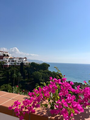 A coastal view with a balcony featuring pink flowers, white buildings, and a clear blue sky. - Holiday Home 'Karibu Sana'  (Macaca)