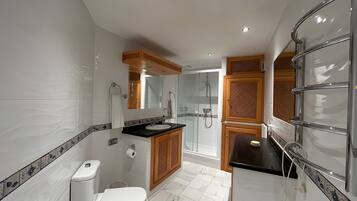 Shower, hair dryer, towels