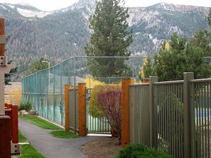 Property grounds - Mammoth Creek Unit 17 (Mammoth Lakes)