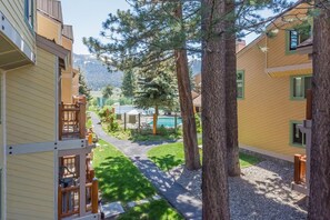 Property grounds - Mammoth Creek Unit 14 (Mammoth Lakes)
