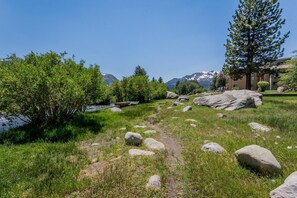 Property grounds - Mammoth Creek Unit 14 (Mammoth Lakes)