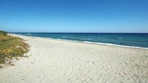 Ein Strand mit blauem Himmel und ruhiger See.