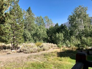 Property grounds - Mammoth Creek Unit 11 (Mammoth Lakes)