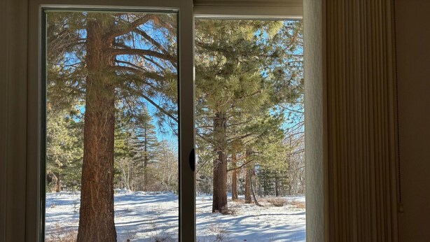 Vista a través de una ventana de un área boscosa cubierta de nieve.