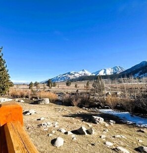 Property grounds - Mammoth Creek Unit 32 (Mammoth Lakes)