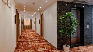 En hotelgang med et mønstret tæppe, en potteplante og en elevator.
