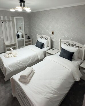 舒适双床房, 空调, 城市景观