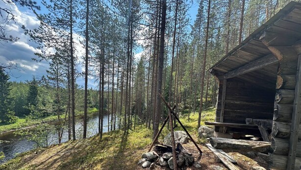 A rustic cabin with a wooden exterior, situated next to a river and surrounded by tall pine trees. - Off Grid at Fjätälven (Sarna)