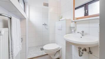 Shower, hair dryer