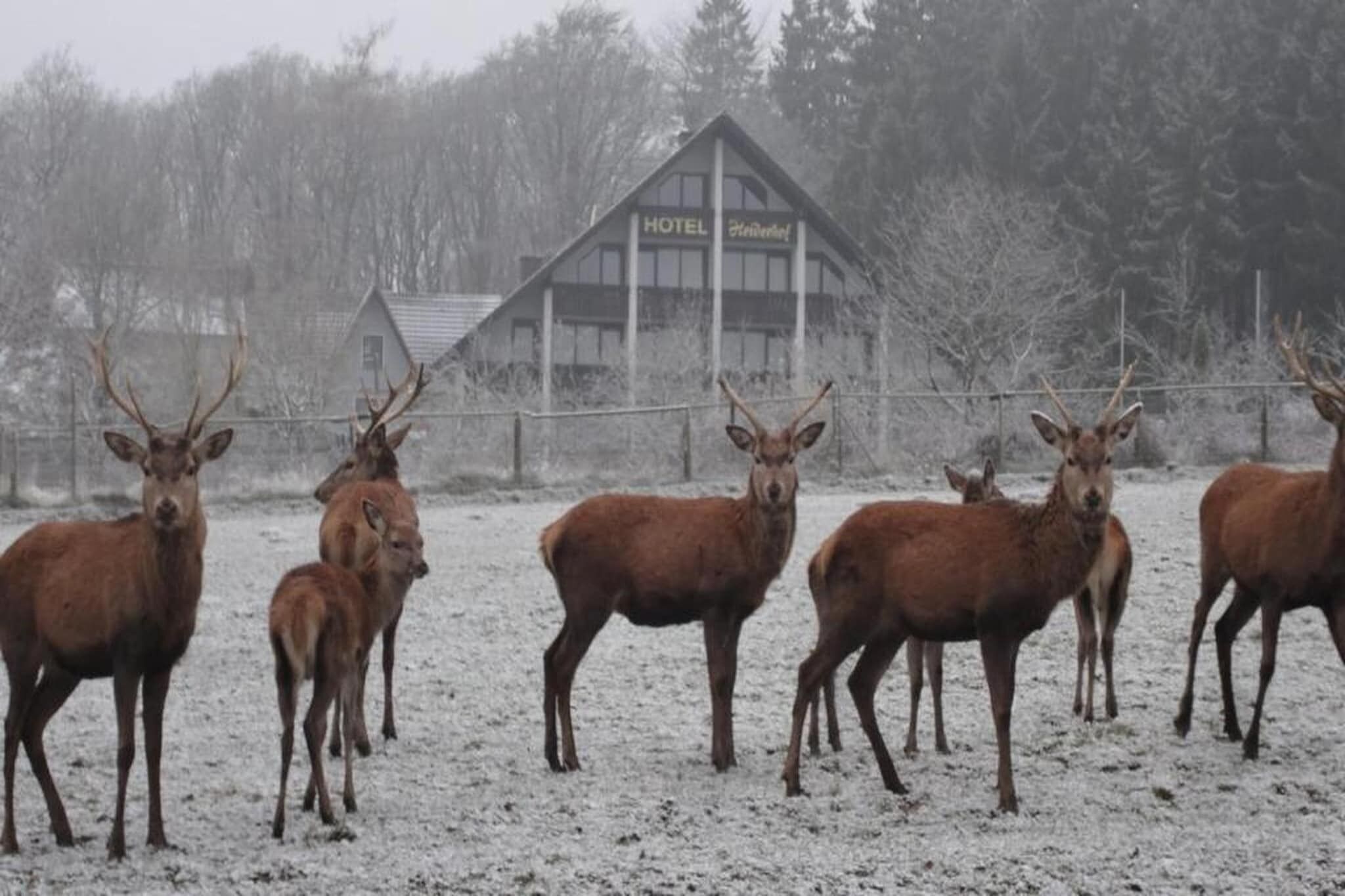 Un grupo de ciervos en un campo nevado, con un hotel al fondo.