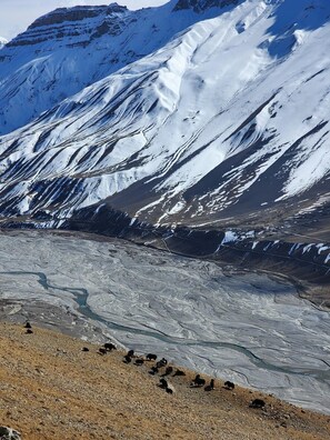 Miscellaneous - HIMALAYAN ECO INN (Leh)