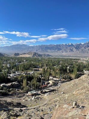 Miscellaneous - HIMALAYAN ECO INN (Leh)