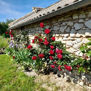 Photo non classée, 5 sur 10, bouton