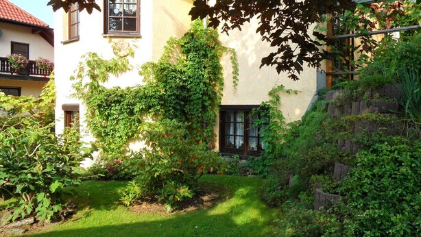 A garden with a white building, a wooden fence, and a stone wall.