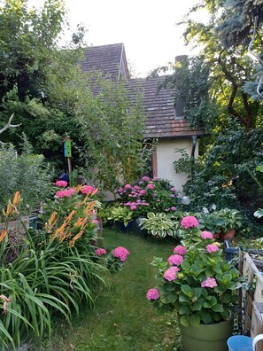 Botón de imagen sin clasificar, 3 de 18