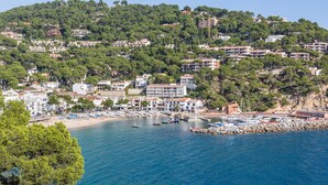 Un poble costaner amb edificis damunt d'una collada, una marina plena de vaixells i una platja.