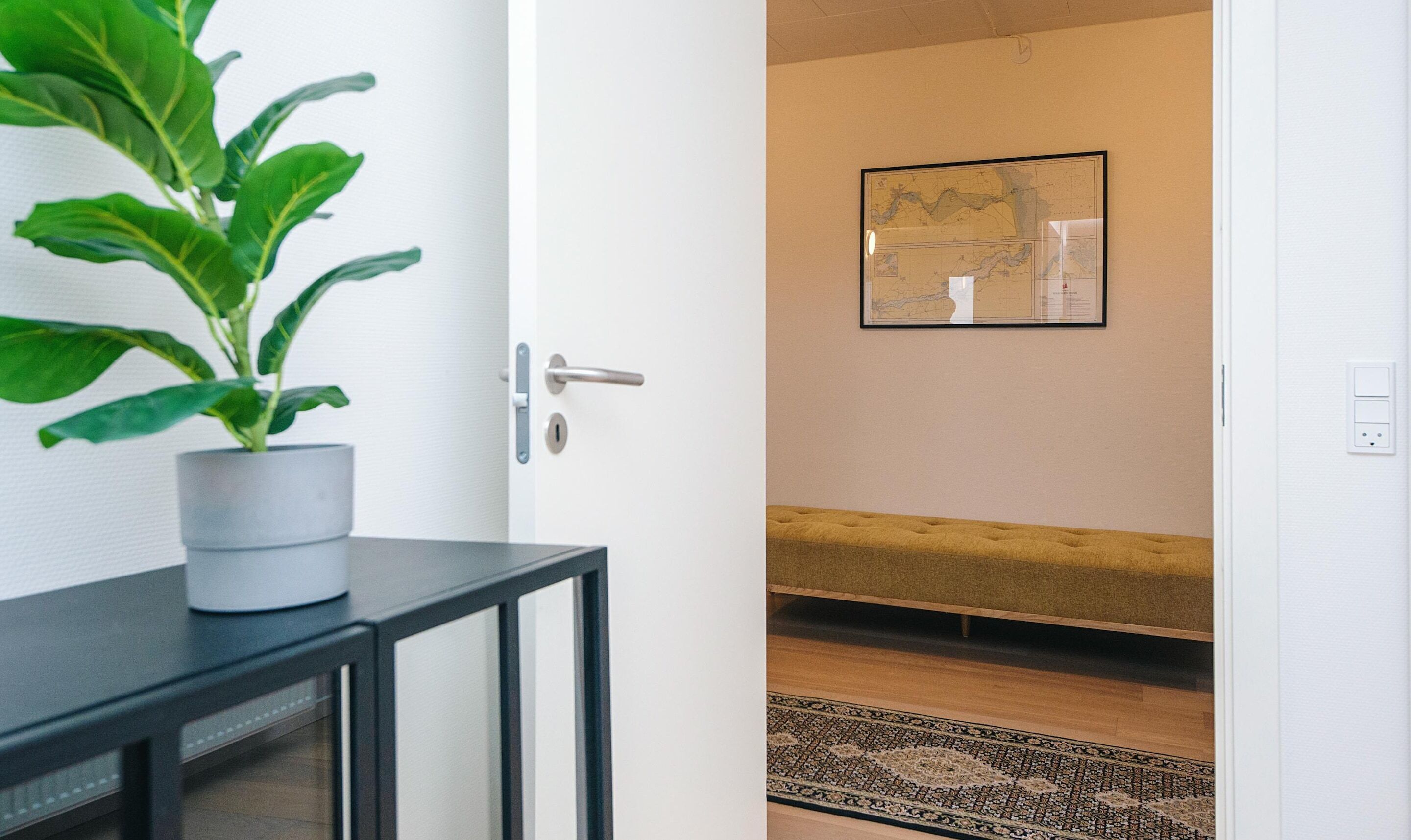 A hallway with a potted plant, a door, a framed map on the wall, a bench, and a patterned rug.