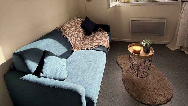 A modern living room with a blue sofa, a coffee table with a pineapple, and a view of buildings through a window. - CosyWellington-Studio near Arras station and center (Achicourt)
