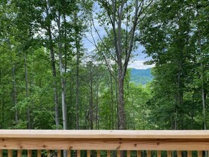 Property grounds - Dolly's Darlings by Beyond Expectations w/ Hot Tub (Sevierville)