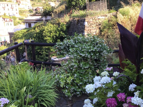 Luokittelematon kuva, 1 kautta 26, painike