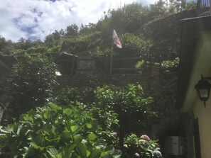 Luokittelematon kuva, 4 kautta 26, painike