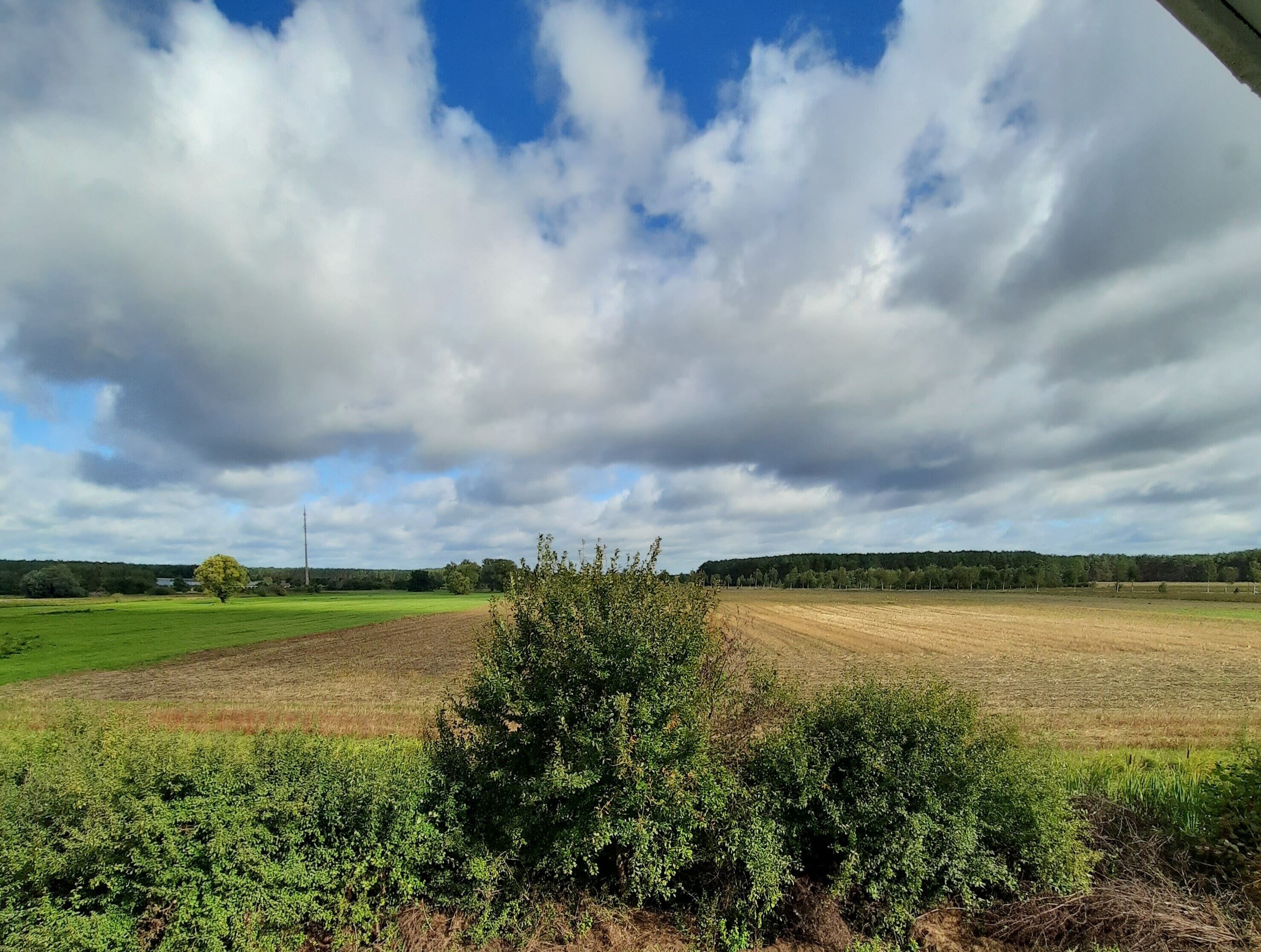 Ländliche Landschaft mit Feldern, einem Baum und einem bewölkten Himmel.