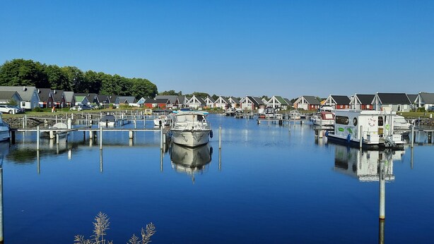 A marina with boats docked, surrounded by houses.