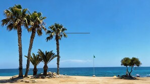 Een strand met palmbomen, een vlag en de oceaan.