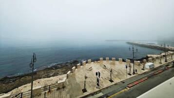 Vista desde la propiedad