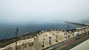 Vista desde la propiedad