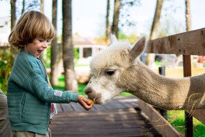 Imagem sem classificação, 3 de 79, botão